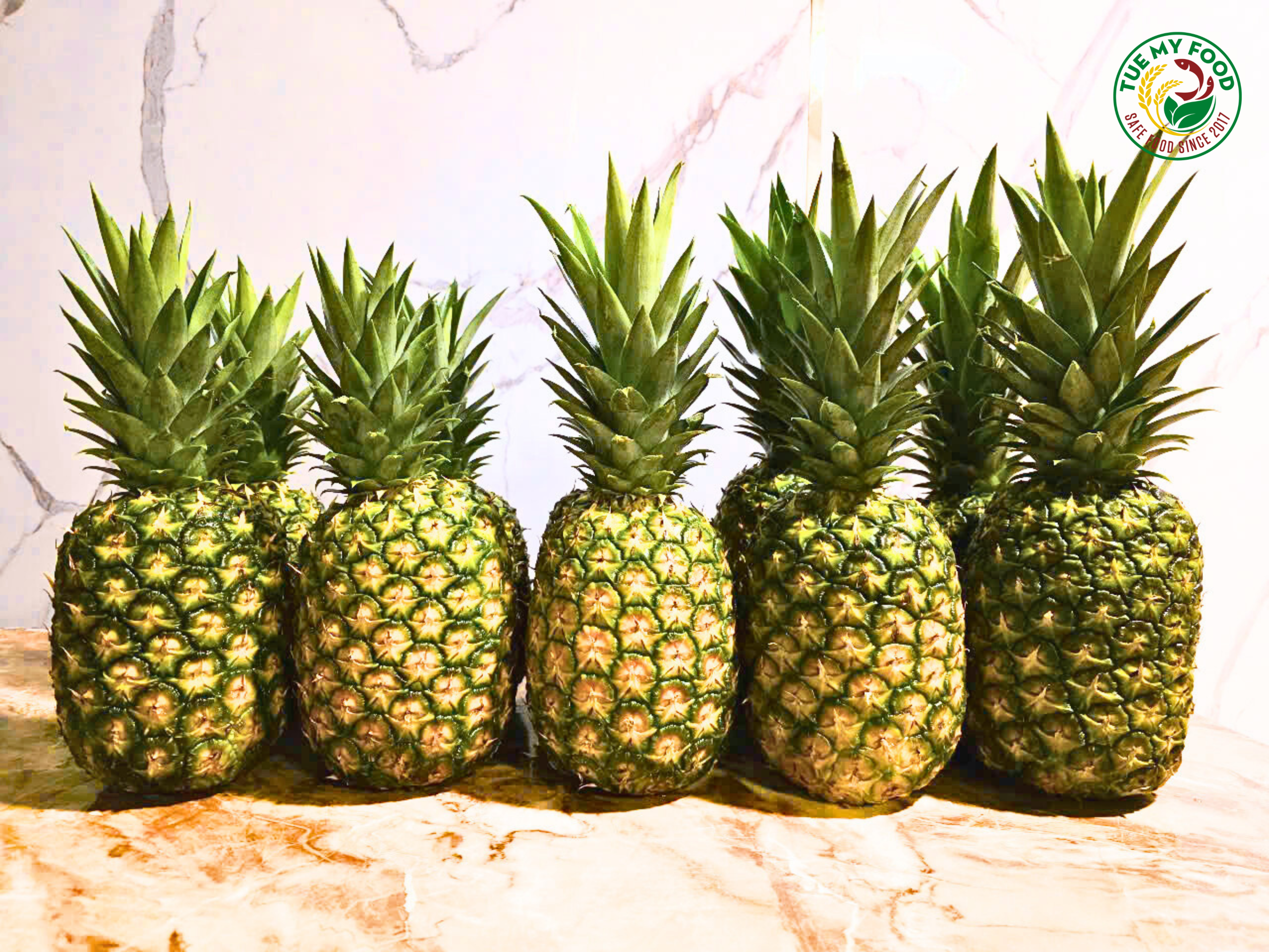 Dứa MD2 năng suất vượt trội