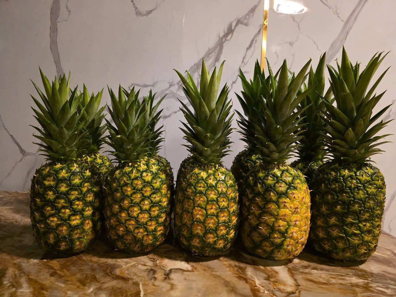 Cây Giống Dứa 2