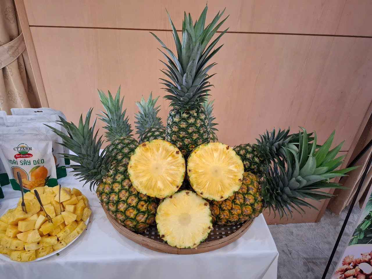 Cây Giống Dứa