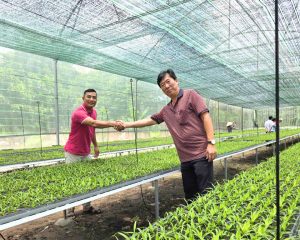 Hợp Tác Thành Công