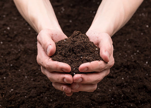 Bunch Of Good Soil In Hands On Ground Background