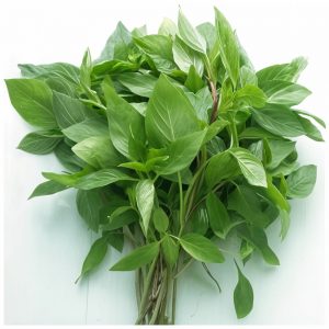 Húng Quế