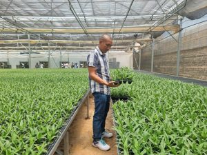 Z7054876540005 803e57fc4e79aac919eb79c9dff0d1a3