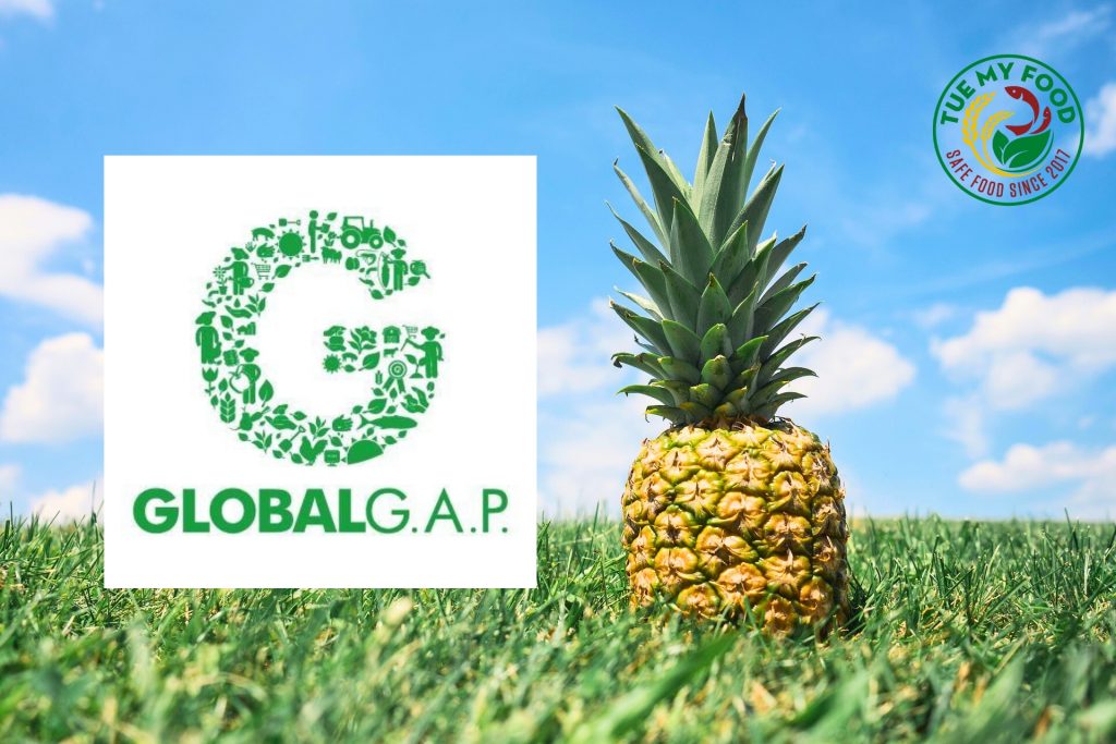 Chứng nhận Global GAP